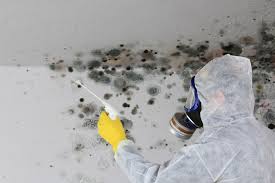 Best HVAC Mold Inspection and Cleaning in USA